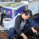 화랑농장 이미지