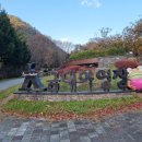 금대자동차야영장(치악산국립공원) 이미지