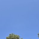 세종청년센터 도란도란 소모임 | 한 걸음, 다 같이 | 1회차 | 회차별 활동계획, 무궁화테마공원 둘레길...