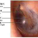 상쾌한이비인후과 이미지