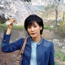 노송가든 - 제천시 | 노송가든