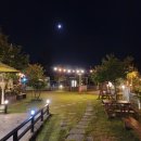 핑코하우스 이미지