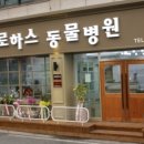 로하스 동물병원 이미지