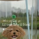 댕파티셰 이미지