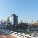 중앙1로 이미지
