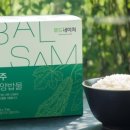홍산텍 이미지