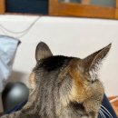 촌놈스튜디오 이미지