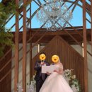 W18. 본식 후기(대전 에스가든)
