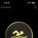 동작삼일수영장 이미지