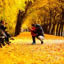 청파로(서측) 이미지