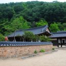 송소담 Daum카페