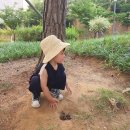 또래(어울림)어린이집 이미지