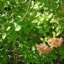 몽촌토성역 5번출구 이미지