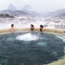 홍삼마을 - 달서구 당산동길 27 | 홍삼마을
