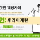 쏘뉴 이미지