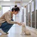 도청동물병원 | [정부 지원] 유기견 입양하면 최대 25만원 🐶 2026년 반려동물 지원금 총정리