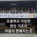 육식인생 이미지