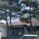 유성대로(유성-30) 이미지