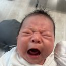 아이트리윅스(주) | 4-5주차 첫 번째 원더윅스 후기