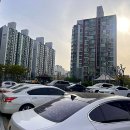 봄에스테틱 이미지