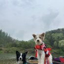 캐나디언 카누클럽 야영장 이미지