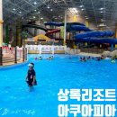 세종파크목욕탕 | 천안 워터파크 상록리조트 아쿠아피아 할인 준비물 시설소개