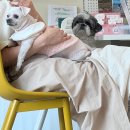 콩이네 이발소 이미지