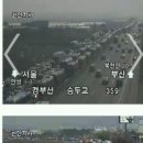 짱이네 이미지