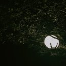 별구름펜션