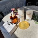 로덱스코리아 이미지