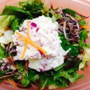 식이 39일차 이미지