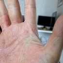 호성프라자약국 이미지