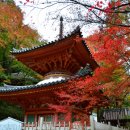 금당카써비스 | 세계문화유산 고야산 관광 명소 둘러보기