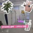 다비치안경 영종하늘도시점 | [인천 중구] 영종 화이트태닝하면 오아시스 영종