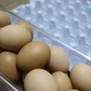 박용수농장 네이버블로그