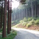 산이네 민박 이미지