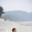 백사장해수욕장 티스토리