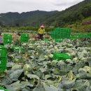 오병이어농장 이미지