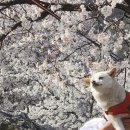 (주)강가의나무