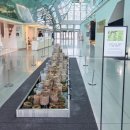 경기도미술관 화장실 이미지