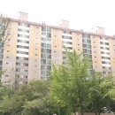 우성아파트 정류장 이미지