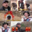 황정