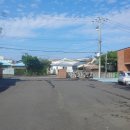 중문농업협동조합강정지점 이미지