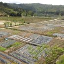 예곡농장 이미지