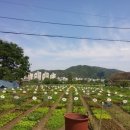 유익농장 이미지