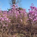 서재필공원 이미지