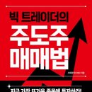 빅 트레이더의 주도주 매매법