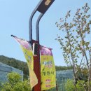 명랑자전거