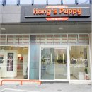 구갈메디칼센터-구갈하얀집 | 대구강아지분양 너무 예뻐서 입양 했어요