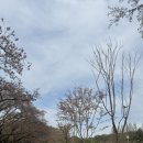 어울더울 | 서울대공원 나들이/ 과천 어울더울 야장 고기집 후기